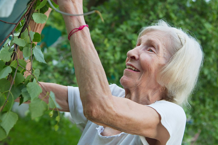 Une vieille femme qui s'occupe de son jardin